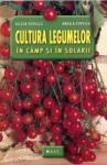 Cultura legumelor in camp si in solarii