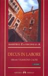 Decus in Labore. Hiram tălmăcind calfei