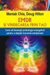 EMDR și vindecarea prin Tao: Cum să folosești psihologia energetică pentru a depăși traumele emoționale