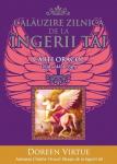 Călăuzire zilnică de la îngerii tăi. Cărți oracol: Ghid și 44 de cărți