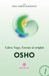 Calea yoga: esentă și origini
