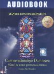 Cum ne mântuieste Dumnezeu - audiobook (CD MP3): Sfaturi de urmat pentru toata vremea