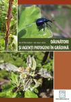 Dăunători și agenți patogeni în grădină