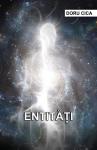 Entități