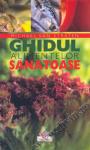 Ghidul alimentelor sănătoase (ediție color)