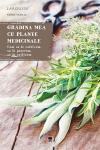 Gradina mea cu plante medicinale: Cum sa le cultivam, cum sa le pastram, cum sa le utilizam