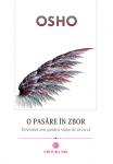 O pasăre în zbor: Discursuri despre Zen