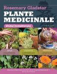 Plante medicinale: Ghidul începătorului