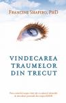 Vindecarea traumelor din trecut: Preia controlul asupra vieții tale cu ajutorul tehnicilor de dezvoltare personală din terapia EMDR
