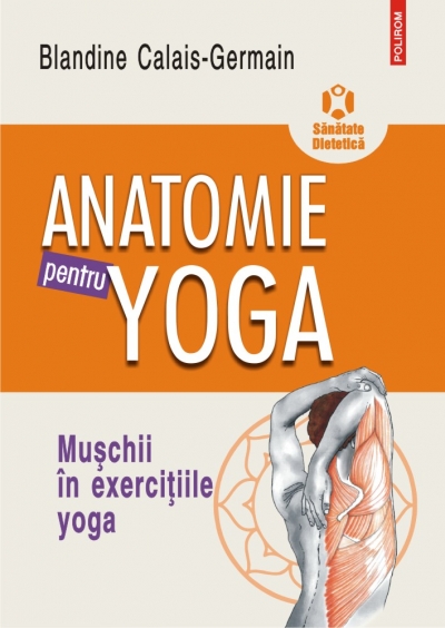 Anatomie pentru yoga. Mușchii în exercițiile yoga