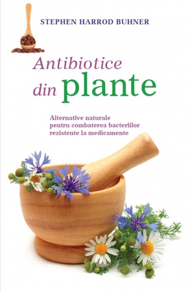 Antibiotice din plante: Alternative naturale pentru combaterea bacteriilor rezistente la medicamente
