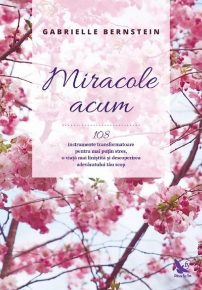 Miracole acum: 108 instrumente transformatoare pentru mai puțin stres, o viață mai liniștită și descoperirea adevăratului tău scop