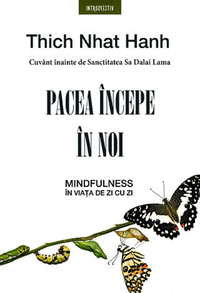 Pacea începe în noi: Mindfulness în viața de zi cu zi