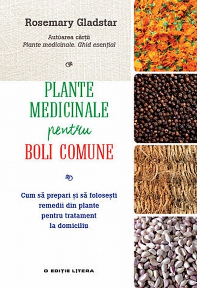 Plante medicinale pentru boli comune: cum să prepari și să folosești remedii din plante pentru tratament la domiciliu