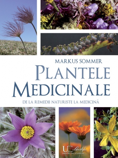 Plantele medicinale: De la remedii naturiste la medicina